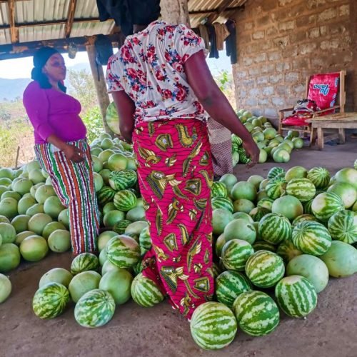 PHOTO-2025-07-01-13-58-23-4